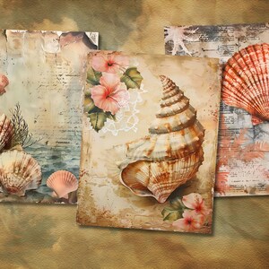 以下が含まれることがあります： 貝殻と花の絵が描かれた、ヴィンテージ風の紙製のカードが3枚。カードは使い古したような、古びた風合いになっており、大きなホラガイ、ホタテガイ、そしてより小さく繊細な貝殻など、さまざまな貝殻が描かれています。カードには、ピンクのハイビスカスの花も描かれています。