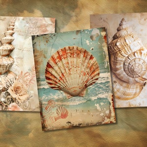 Dive into the world of nautical beauty with this set of Seashell Papers, essential for crafting projects inspired by the sea and its wonders.