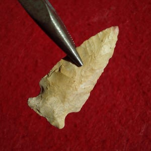 May include: A tan-colored arrowhead with a sharp point and a rough, textured surface. The arrowhead is being held by a pair of metal pliers, set against a red background. The arrowhead appears to be made of stone.