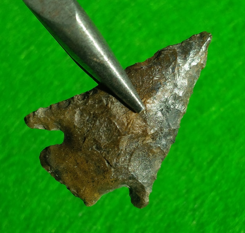 May include: A brown and gray arrowhead with a sharp point. The arrowhead is held by a metal tool against a green background.