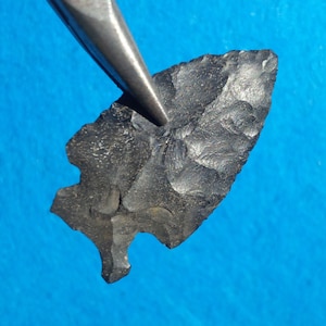 1-13/16&quot; Big Sandy Contracted Base AUTHENTIC OHIO ARROWHEAD Early Archaic 10,000 - 7,000 B.P.  Thin with High Quality Workmanship. Knox Co.