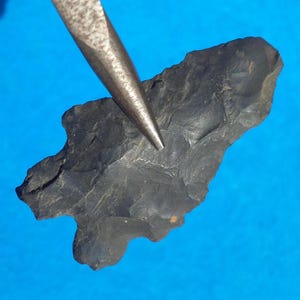 Authentieke NEW YORK PIJLKOP 2-1/8&quot; McCorkle, vroeg-archaïsch 8000-6000 B.P. afgeschuind met zwaar slijpen van de basale tangen en delen