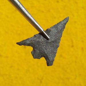 AUTHENTIEKE WASHINGTON PIJLKOP 1&quot; Gunther Prikkeldraad Ontwikkel. - Historische fase 1000 - 200 B.P. Ex Wenatchee Artifact Museum Thin from Basalt