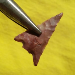 Può includere: Una piccola punta di freccia triangolare di colore marrone rossiccio con una punta appuntita.