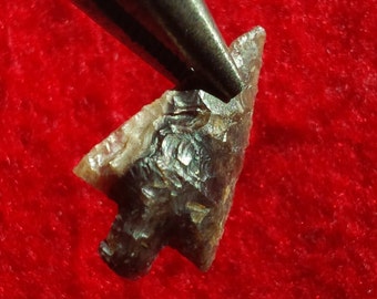 15/16" Wallula AUTHENTIC OREGON ARROWHEAD Dev - Historic Phase 1000 - 200 B.P. Hi Quality Workmanship & Thin from Gemstone Variegated Jasper