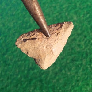 AUTHENTIEKE TEXAS-PIJLKOP 1-1/8&quot; Matamoros laat-archaïsch, Mississippian 3000 - 300 bp basaal dunner en slijpen afgeschuind 1 zijde van elk vlak