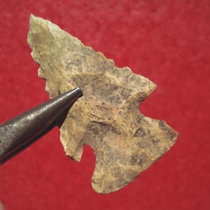 AUTHENTIEKE OHIO PIJLKOP Thebe Vroeg-archaïsch 10000-8000 B.P. Gekarteld met fijn oud vakmanschap, heeft Scioto co. X Dr. Copland