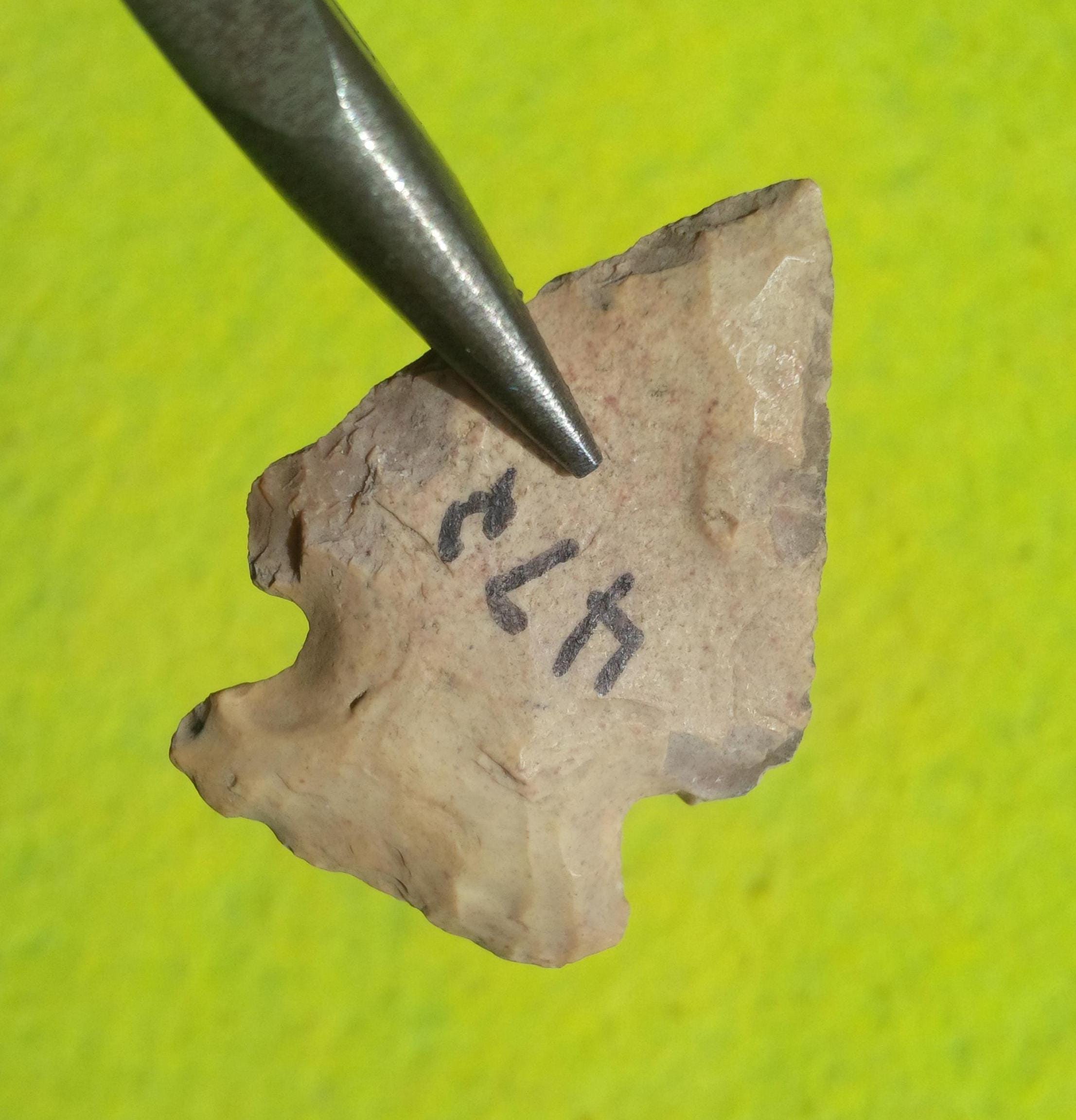 SCALPELLO A SPATOLA CON PROTEZIONE DELLA MANO PER MURATORE PIETRA PUNTA Piatta 8021000019214