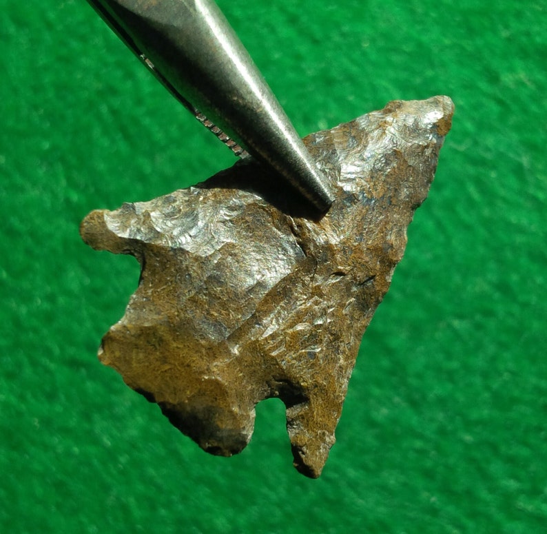 May include: A brown arrowhead with a rough, textured surface. The arrowhead is held by a pair of metal tweezers.