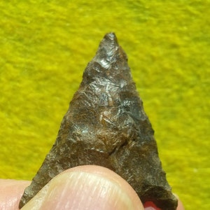 May include: A dark brown arrowhead with a pointed tip and a rough, textured surface.
