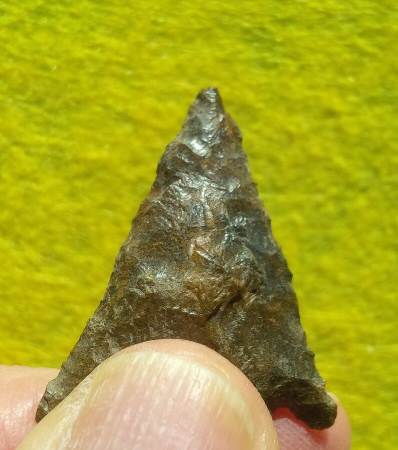 May include: A dark brown arrowhead with a pointed tip and a rough, textured surface.