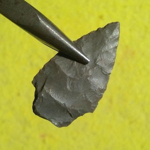 May include: A dark gray, pointed stone arrowhead with visible flaked edges and a textured surface, held by a pair of metal tweezers. The object features a sharp tip and a tapered base, showcasing the characteristic knapped finish of a stone tool.