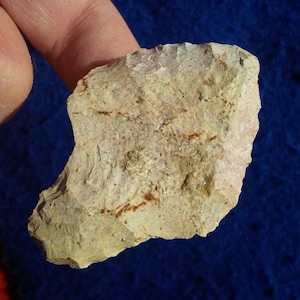 2-9/16&quot; Sumter AUTHENTIC FLORIDA ARROWHEAD Middle Archaic 7000 - 5000 B.P. Nice Workmanship & Condition - Ancient Resharpening Reduced Size