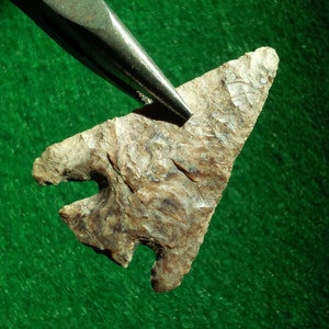 1-3/4&quot; Eastgate AUTHENTIEKE OREGON PIJLKOP Ontwikkeling - klassieke fase 1500 - 400 bp. Hoogwaardig vakmanschap en schilfering