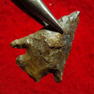 May include: A brown arrowhead with a rough, textured surface. The arrowhead is held by a pair of metal tweezers.