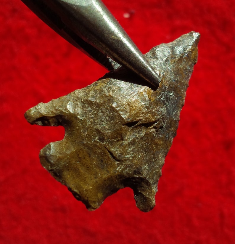 May include: A brown arrowhead with a rough, textured surface. The arrowhead is held by a pair of metal tweezers.