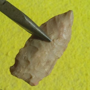 May include: A light tan, chipped stone arrowhead with a pointed tip and a textured, flaked surface. The object is held by a metal tool, showcasing its irregular, sharp edges and earthy, neutral coloration in a clear, focused view.