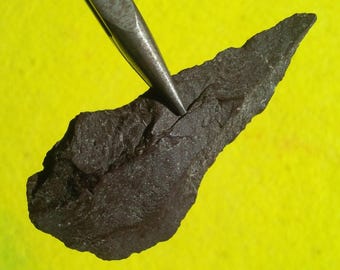 AUTHENTIC WASHINGTON ARROWHEAD 2-13/16" Wahmuza Blade Develop. - Historic Phase 1000 - 200 B.P. x Wenatchee Artifact Museum Thin from Basalt