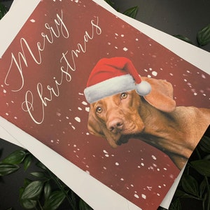 Carte de Noël Vizsla