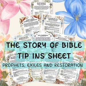 Peut inclure: Plusieurs feuilles d'aide avec des motifs floraux, présentant des récits bibliques. Les titres incluent « David Oint », « L'appel d'Isaïe » et « Ezra lit la loi ». Le texte « THE STORY OF BIBLE TIP INS SHEET » est visible.