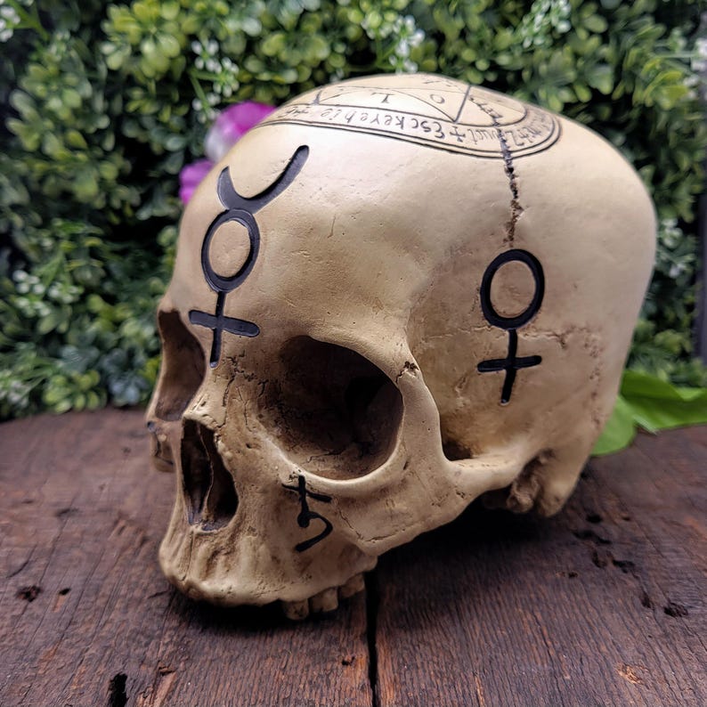 Op de afbeelding: Een beige schedel met zwarte symbolen en tekst. De schedel heeft een scheur in het midden en is versierd met occulte symbolen. De schedel staat op een houten oppervlak met groene bladeren op de achtergrond.