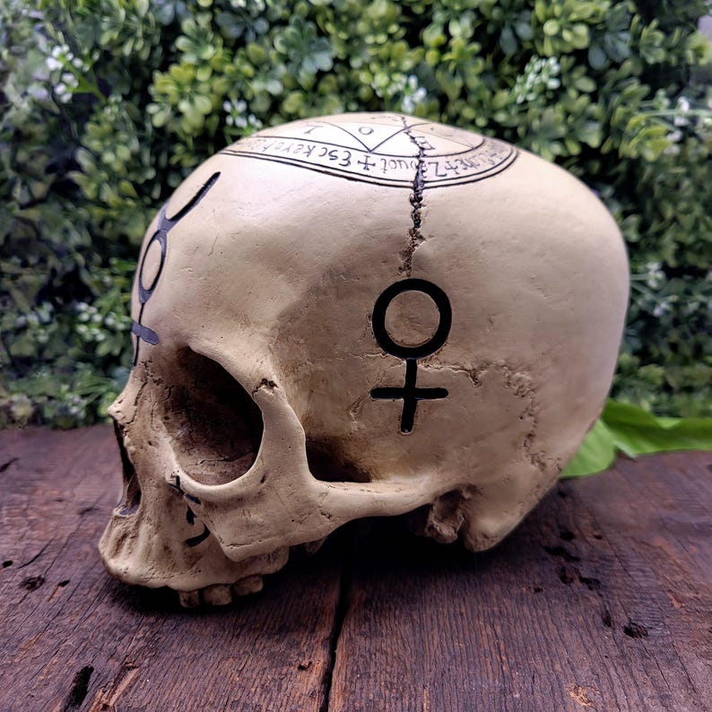 Op de afbeelding: Een beige schedel met zwarte symbolen en tekst. De schedel heeft een scheur in het midden en is versierd met occulte symbolen. De schedel staat tegen een achtergrond van groen gebladerte en een houten oppervlak.