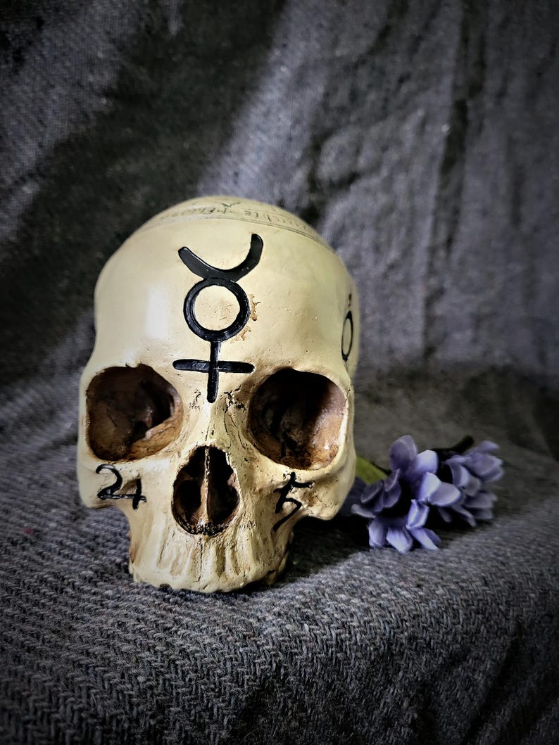 Op de afbeelding: Een cr&egrave;mekleurige schedel met zwarte markeringen en de nummers 24 en 25. De schedel heeft een symbool op het voorhoofd en ligt naast een kleine bos paarse bloemen. De schedel ligt op een grijs oppervlak met textuur.