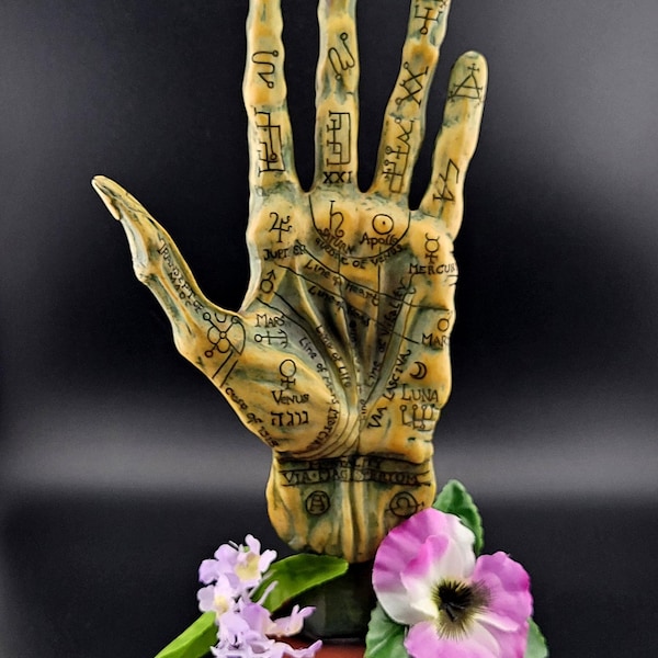 Mano de quiromancia gótica de alquimia: Decoración oculta momificada, 28 cm de alto