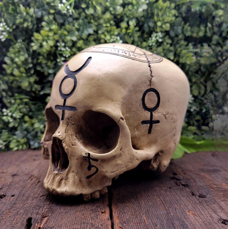 Op de afbeelding: Een beige schedel met zwarte symbolen en markeringen. De schedel heeft een scheur in het midden en is versierd met astrologische symbolen. De schedel staat op een houten oppervlak met een groene achtergrond.