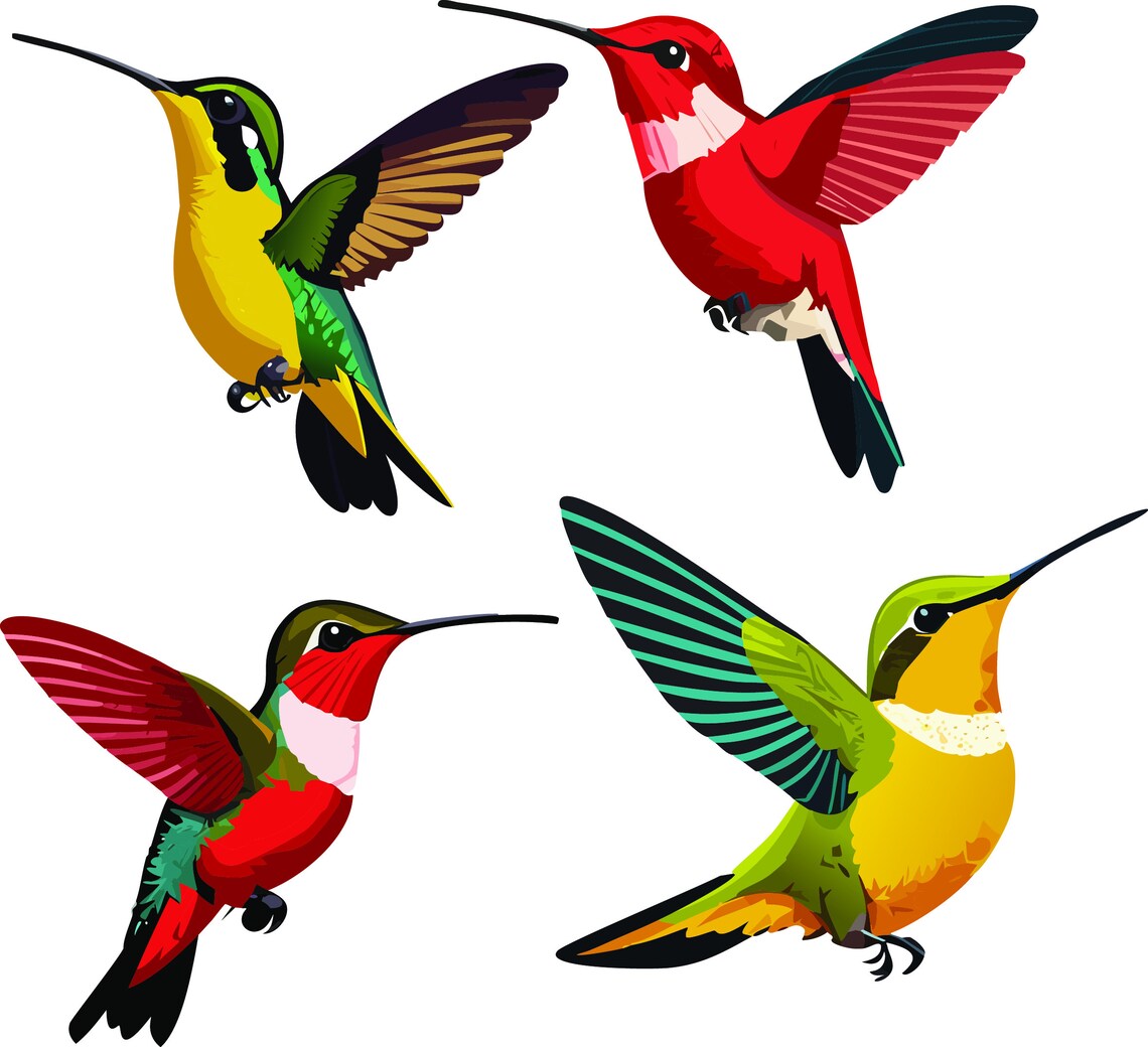 Beautiful Vector Hummingbird Artwork Bundle, 20 Hummingbirds Bundle ...