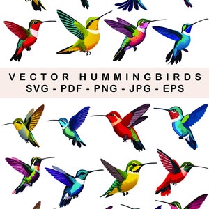 Lindo pacote de arte vetorial Hummingbird, pacote de 20 beija-flores, vetor, svg, png, pdf, jpg, beija-flores coloridos