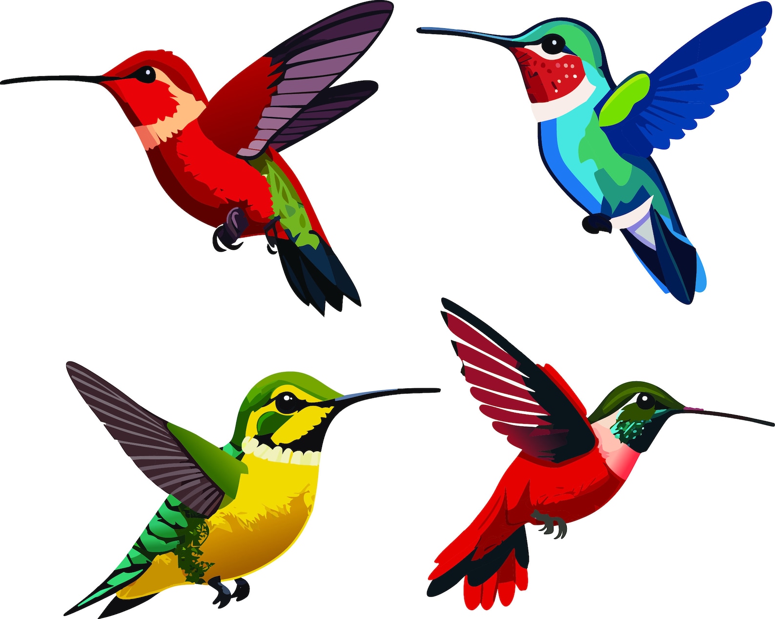 Beautiful Vector Hummingbird Artwork Bundle, 20 Hummingbirds Bundle ...