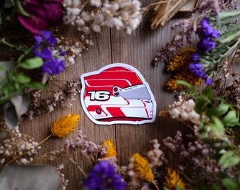 May include: A red, white, and black racing helmet sticker with the number "16" on the side. The sticker is on a wooden background surrounded by dried flowers.