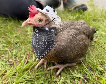Cowboy Costume for Chickens & Ducks