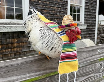 Fiesta Costume for Chickens & Ducks