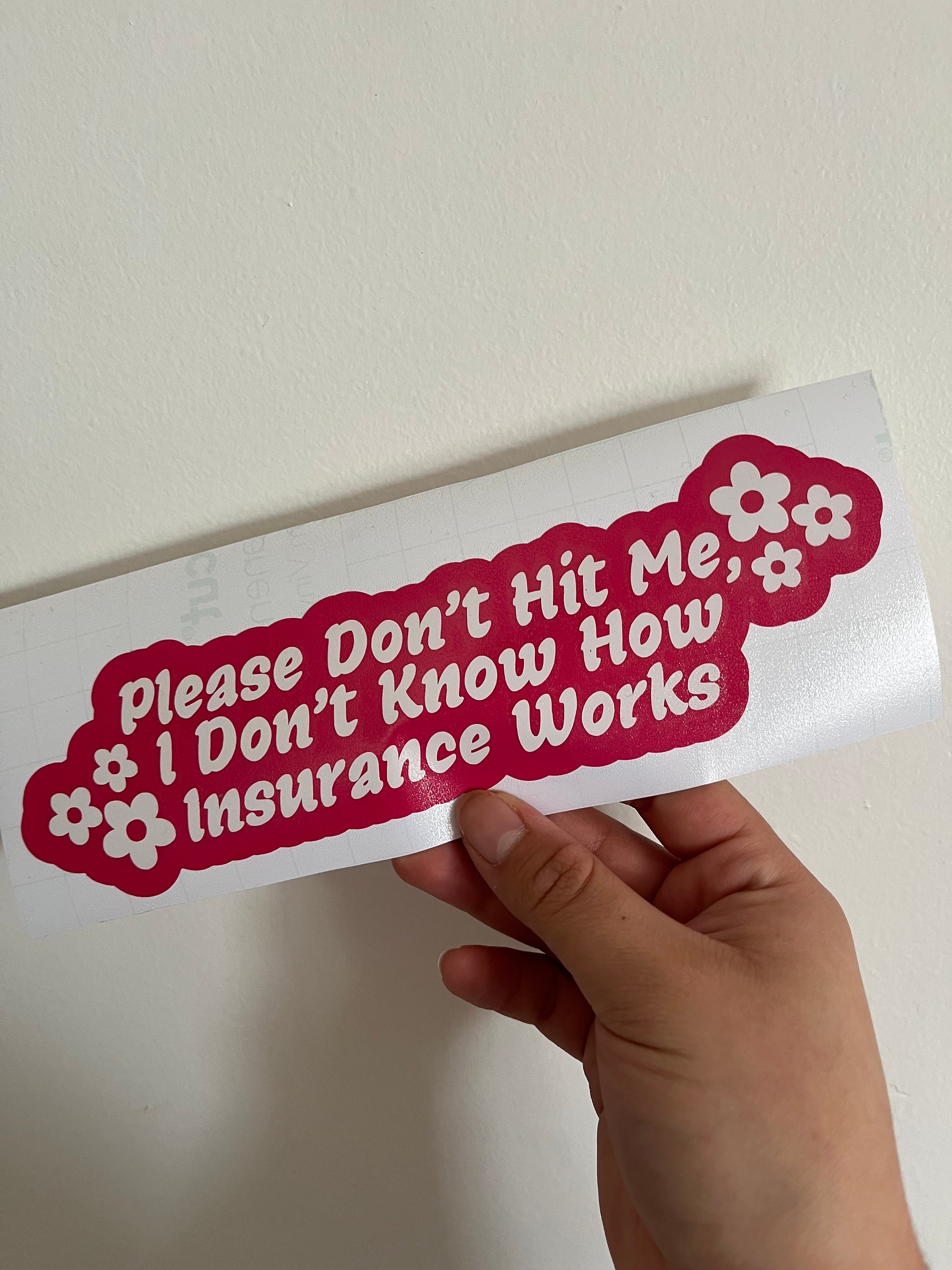 Please Don't Hit Me Car Decal - Funny Bumper Sticker, Laptop Sticker - Etsy