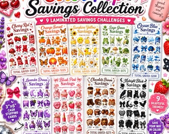 Color Pop Savings Collection | Laminated Cash Stuffing Challenge Cards | 3”x6” Budget Binder Savings Trackers | Cute Budgeting Bundle
