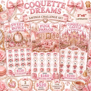 Coquette Savings Challenge 3 Card Set | Laminated 3x6 Savings Challenge Cards | Pink Coquette Budget Tracker | Cash Stuffing Challenge