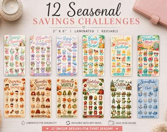 12 Seasonal Savings Challenges Bundle – Laminated 3x6 Reusable Savings Cards – Cash Stuffing Challenge Set – Cute Budget Tracker Cards