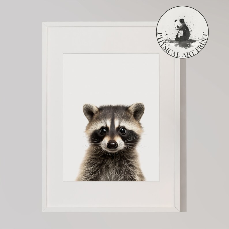 Baby Racoon Design Baby Racoon Wall Art - PHYSICAL PRINT , Animal Illustration, Nursery ...