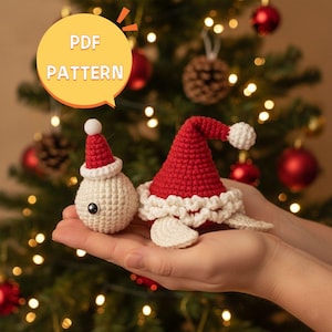 Crochet Christmas Santa Turtle Pattern (PDF Pattern)
