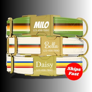 May include: Three personalized dog collars with gold-colored hardware. The collars are white, green, and white with colorful stripes. Each collar has a name and phone number printed on the buckle. The names are Milo, Bella, and Daisy.