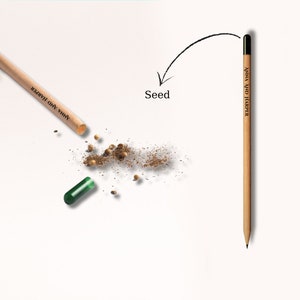 Może przedstawiać: Dwa drewniane oł&oacute;wki z nadrukiem "ANNA AND HARPER". Oł&oacute;wki są złamane na p&oacute;ł, a złamane końce otoczone są małymi brązowymi nasionami.