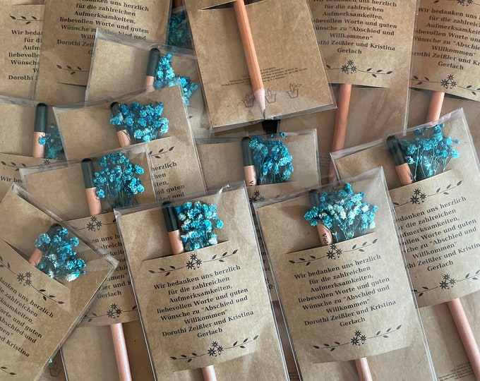 Personalized Seed Pencil Favors: Eco-Friendly Guest Gifts