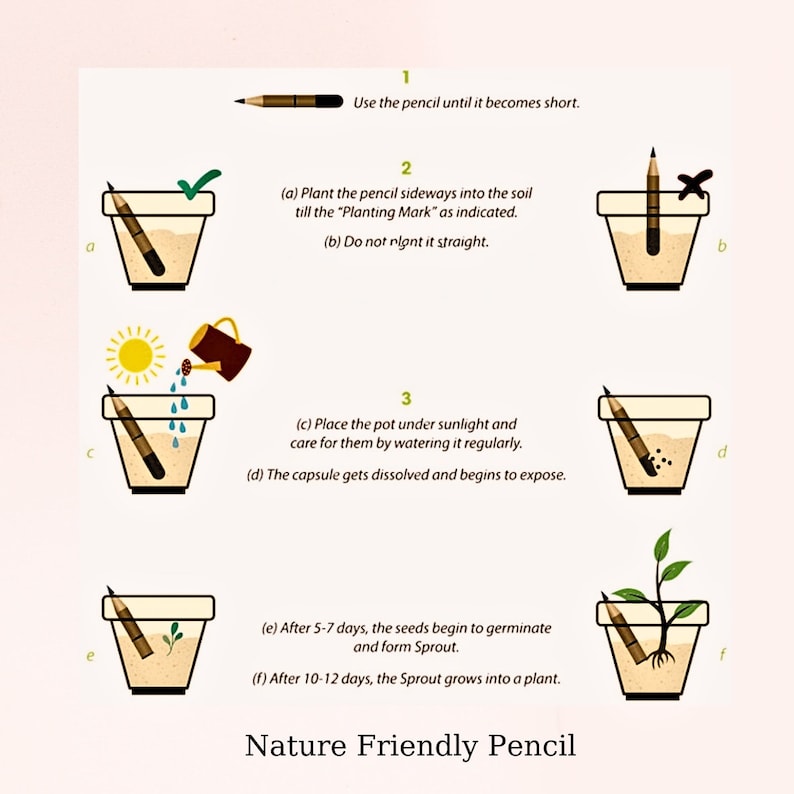 May include: A step-by-step illustration showing how to plant a pencil that contains seeds. The pencil is planted in a pot and watered. After a few days, a sprout emerges from the soil. The text reads: "Use the pencil until it becomes short." "(a) Plant the pencil sideways into the soil till the "Planting Mark" as indicated. (b) Do not plant it straight." "(c) Place the pot under sunlight and care for them by watering it regularly. (d) The capsule gets dissolved and begins to expose." "(e) After 5-7 days, the seeds begin to germinate and form Sprout. (f) After 10-12 days, the Sprout grows into a plant." "Nature Friendly Pencil"