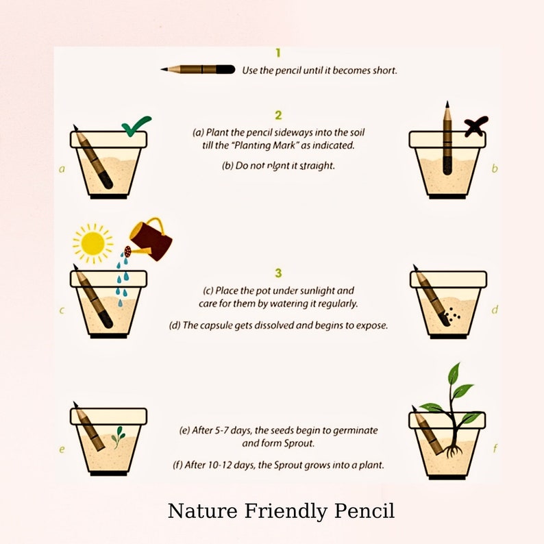 Może przedstawiać: Ilustracja krok po kroku pokazująca, jak posadzić oł&oacute;wek zawierający nasiona. Oł&oacute;wek sadzi się w doniczce i podlewa. Po kilku dniach z ziemi wyłania się kiełek. Tekst głosi: "Użyj oł&oacute;wka, dop&oacute;ki nie stanie się kr&oacute;tki." "(a) Posadź oł&oacute;wek bokiem w ziemię do "Znaku Sadzenia", jak pokazano. (b) Nie sadź go prosto." "(c) Umieść doniczkę w miejscu nasłonecznionym i dbaj o nią, regularnie ją podlewając. (d) Kapsułka rozpuszcza się i zaczyna się ujawniać." "(e) Po 5-7 dniach nasiona zaczynają kiełkować i tworzą kiełek. (f) Po 10-12 dniach kiełek przekształca się w roślinę." "Oł&oacute;wek przyjazny dla środowiska"