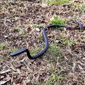 K&ouml;nnte beinhalten: Ein schwarzer, schlangenf&ouml;rmiger Gartenpfahl aus Metall mit einem gebogenen Kopf, der auf einem Bett aus braunem Gras und gr&uuml;nem Laub liegt.