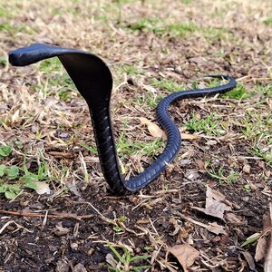 以下が含まれることがあります： 茶色の土と緑の草の上で、コブラのような巻き付けられた黒いゴム製のヘビのおもちゃ