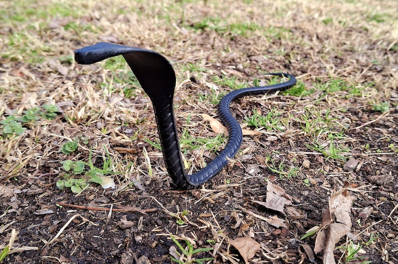 以下が含まれることがあります： 茶色の土と緑の草の上で、コブラのような巻き付けられた黒いゴム製のヘビのおもちゃ