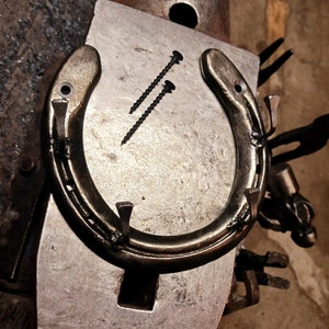 May include: A horseshoe is placed on a metal anvil with two screws on the surface. The horseshoe is made of metal and has a dark brown color. The anvil is made of metal and has a silver color.